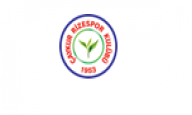 RİZESPOR TV